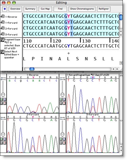 The Sequence Editor